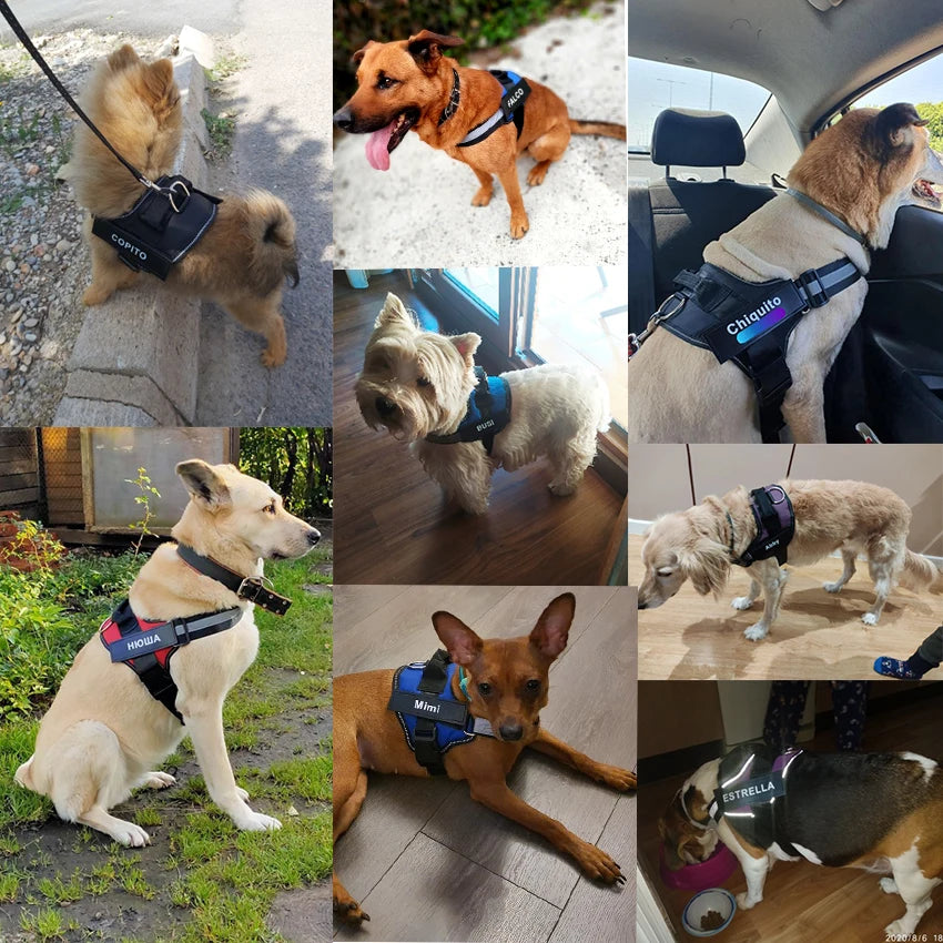 NO PULL Dog Harness with Reflective Material