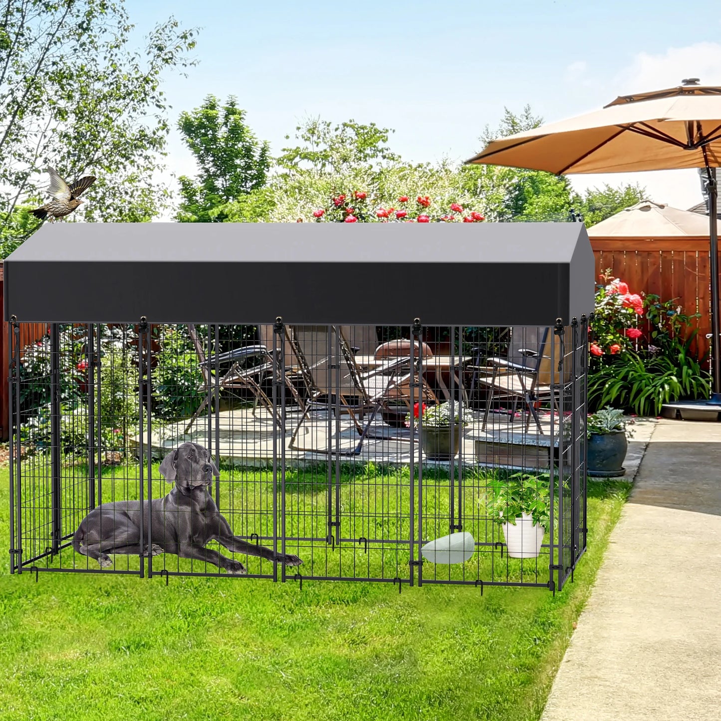 Outdoor Waterproof Covered Dog Kennel
